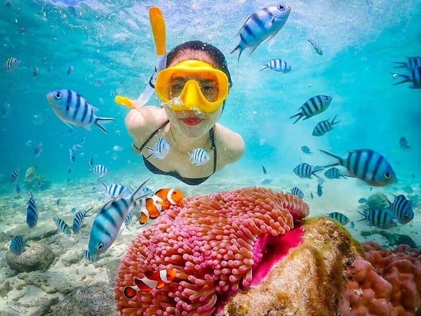 Snorkel & Chill: Nemo Island Trip from Pattaya - The snorkeling part: Samesan plus nearby spots