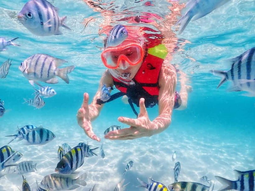 Snorkel & Chill: Nemo Island Trip from Pattaya - Why Nemo Island’s Nemo moment is more than a gimmick