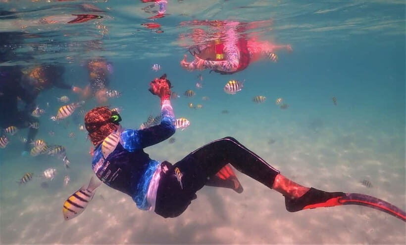 Snorkel & Chill: Nemo Island Trip from Pattaya - Price and value: why $41 can work (and when it might not)