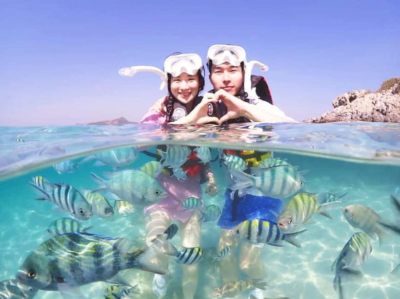 Snorkel & Chill: Nemo Island Trip from Pattaya - Getting to Sattahip: pick-up that doesn’t waste your morning