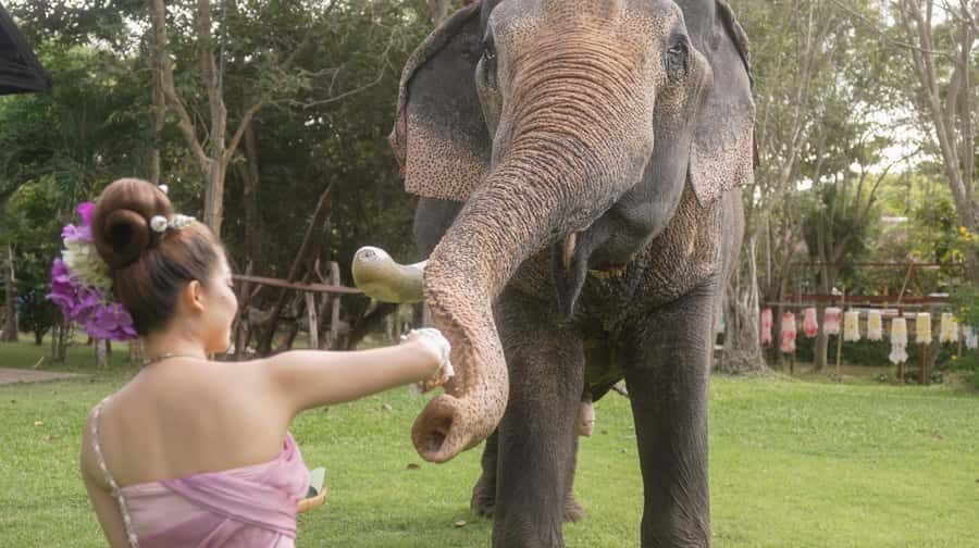 Thai Thani Cultural Village Admission Ticket ( PACKAGE - B ) - Thai Thani Cultural Village Package B: what you’re really buying